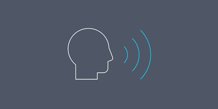 Enhanced Voice Service (EVS) icon