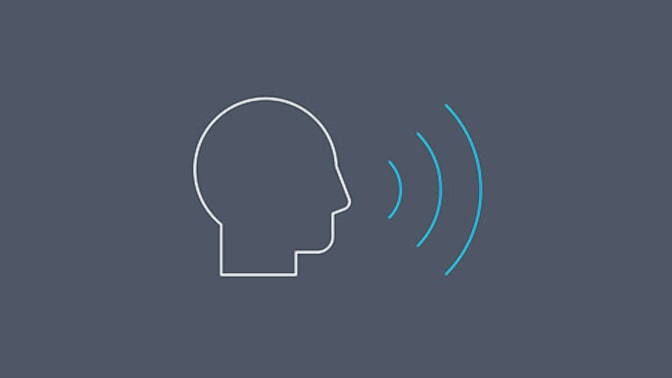 Enhanced Voice Service (EVS) icon