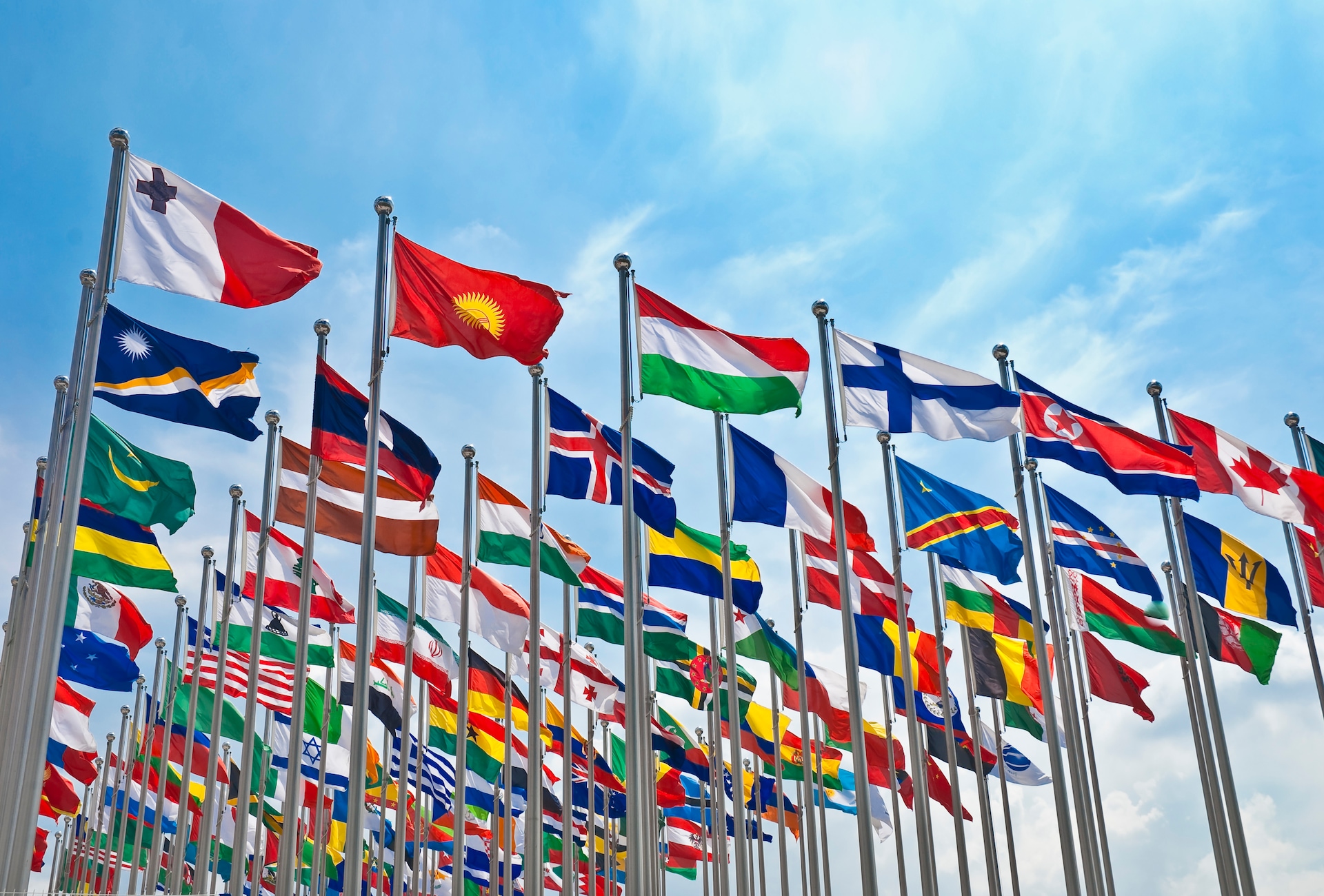 United Nations flags
