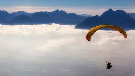 Openness drives innovation