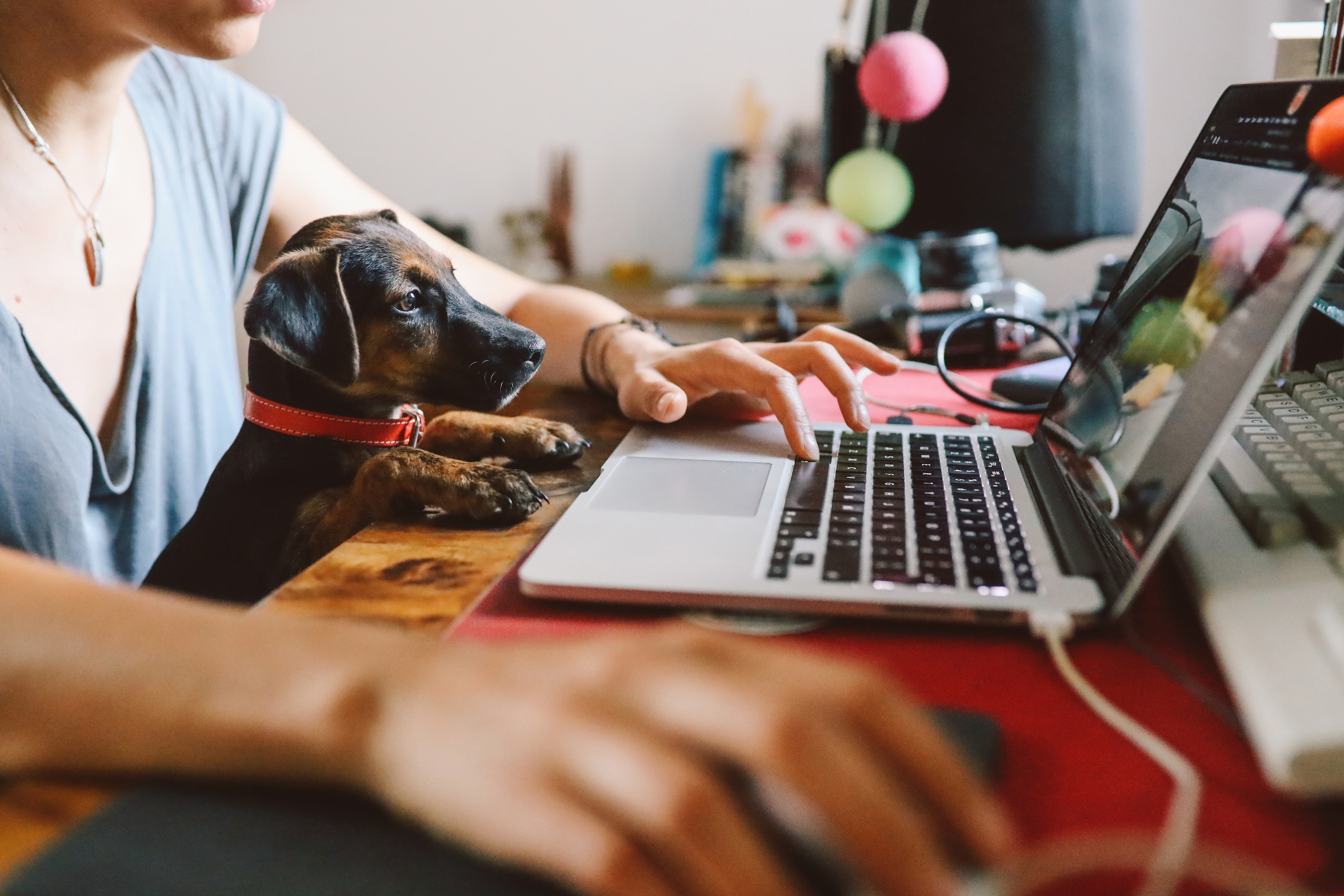 Connecting every home with converged fixed and wireless broadband access