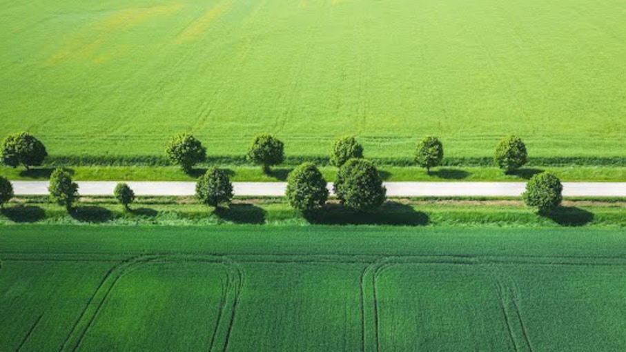 5G for change: a path to zero emissions