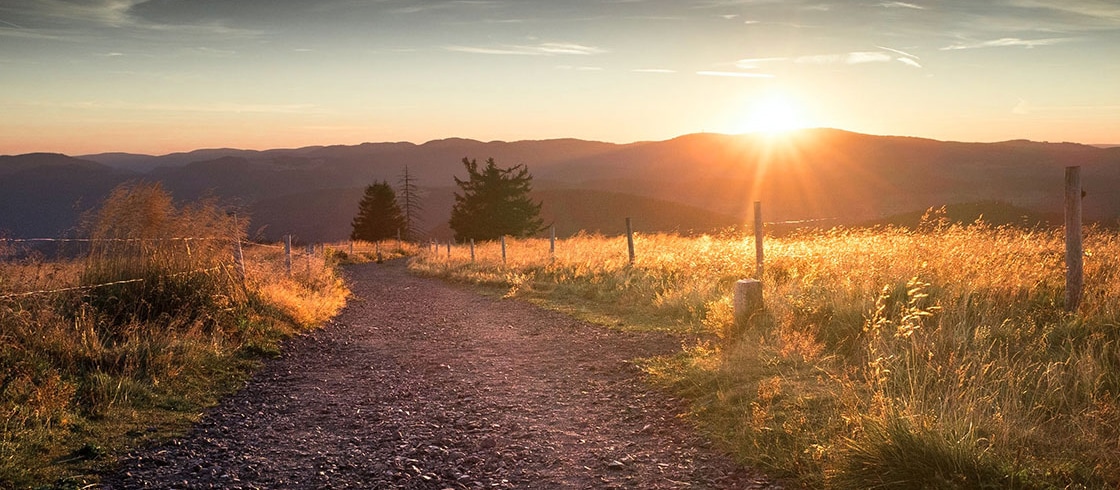 Roadmap to carbon reduction