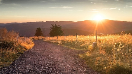 sunset landscape