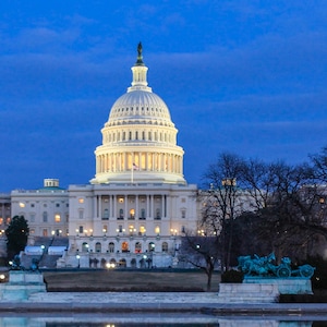 US  congress