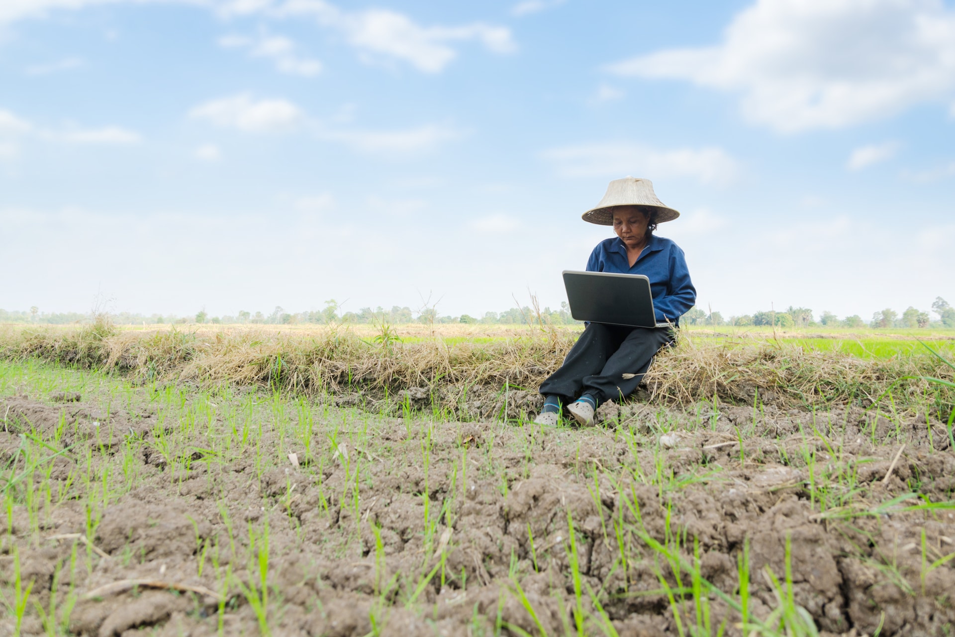 Woman Using Laptop While Sitting On Field In Farm
