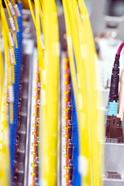 Fiber networks