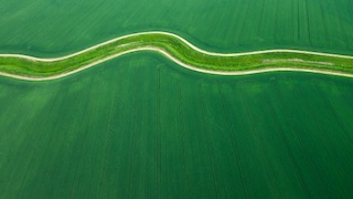 green fields