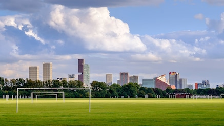 sports fields with neighbourhoods in the background