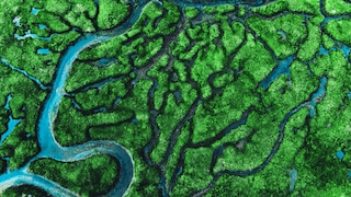 green curvy river