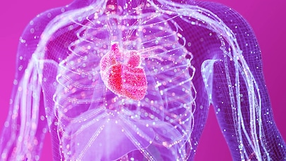 digital twin of the humane immune system