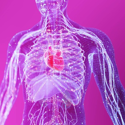 digital twin of the humane immune system