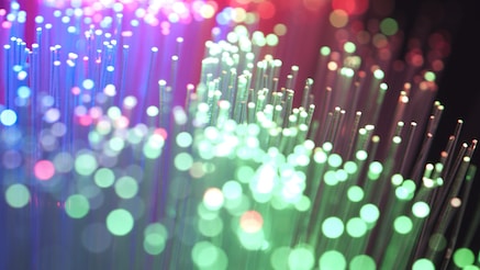 fibers