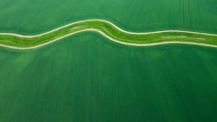 green field