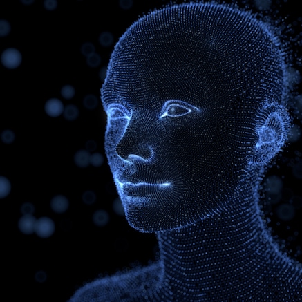 metaverse head