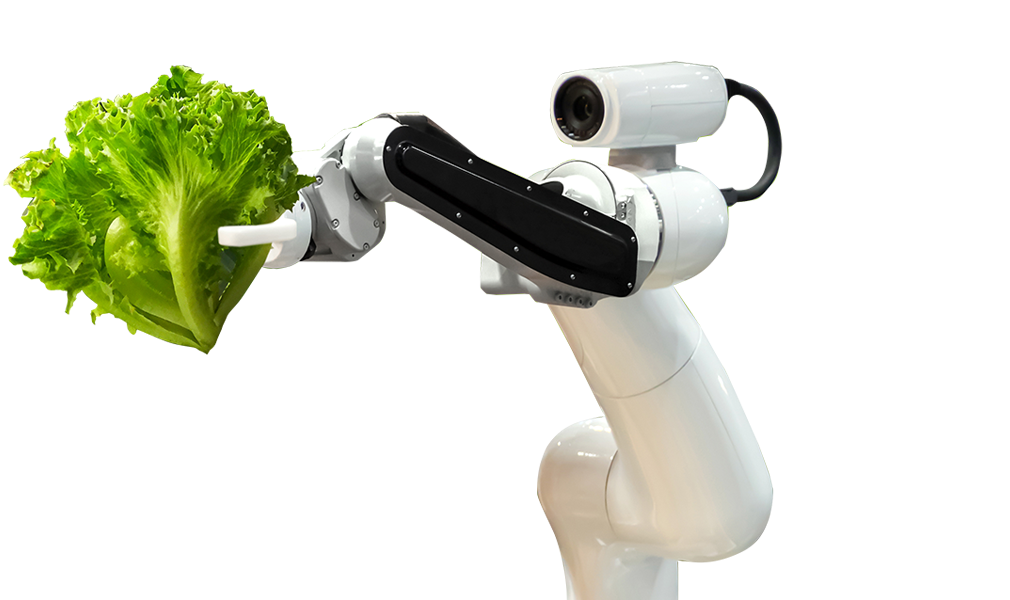 robot arm