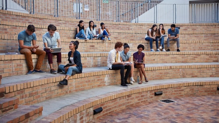 Distinguished Academic Partners