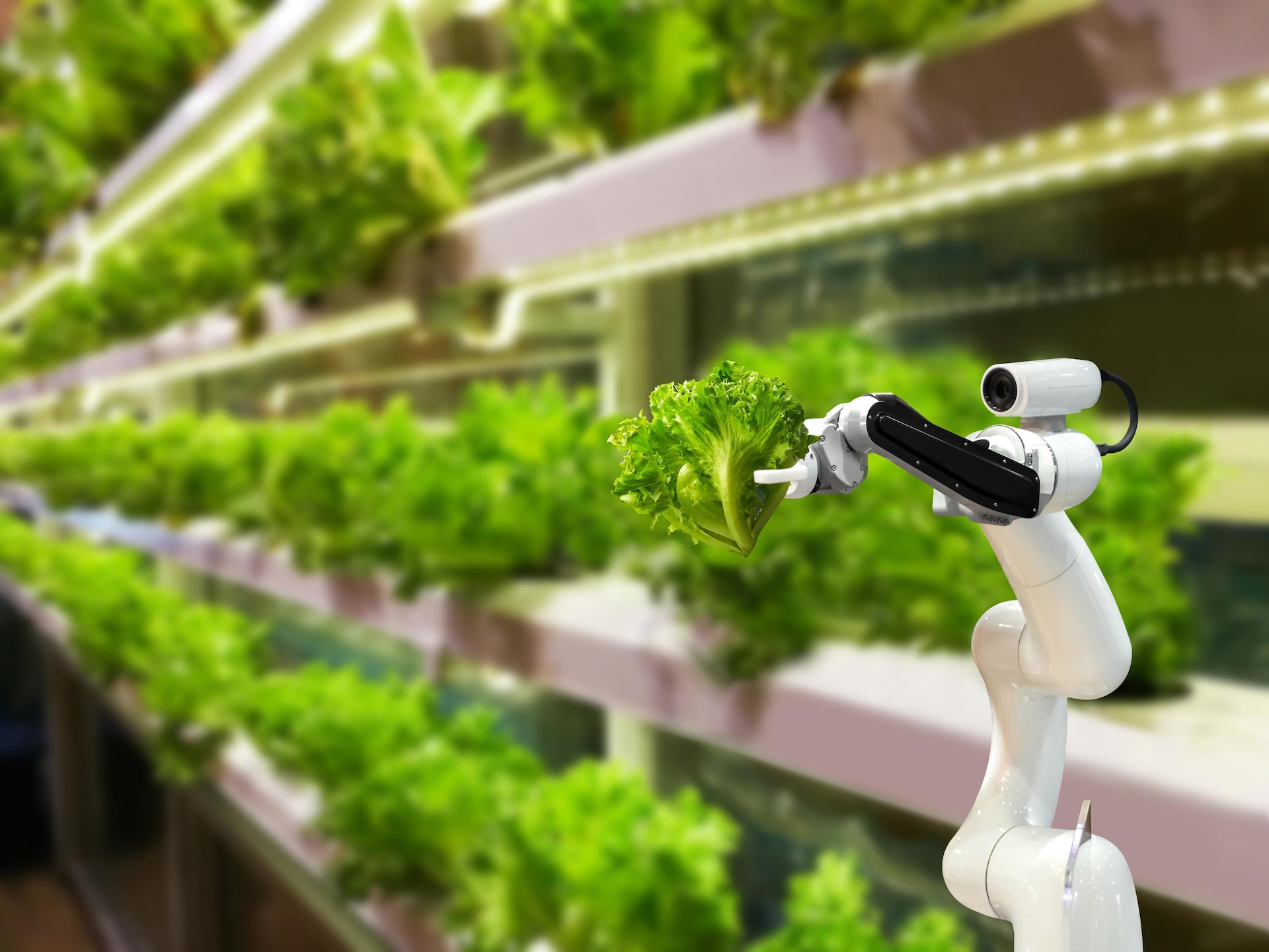 robotic arm