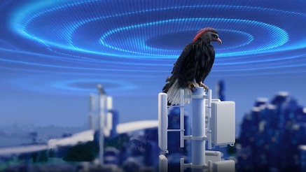 Hawk sitting on antenna