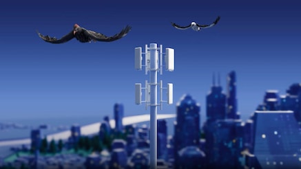 Osprey and Pandion flying over a small cell tower