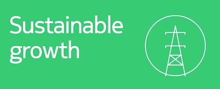 Sustainable growth