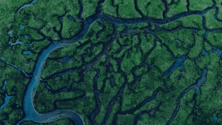 Abstract image
