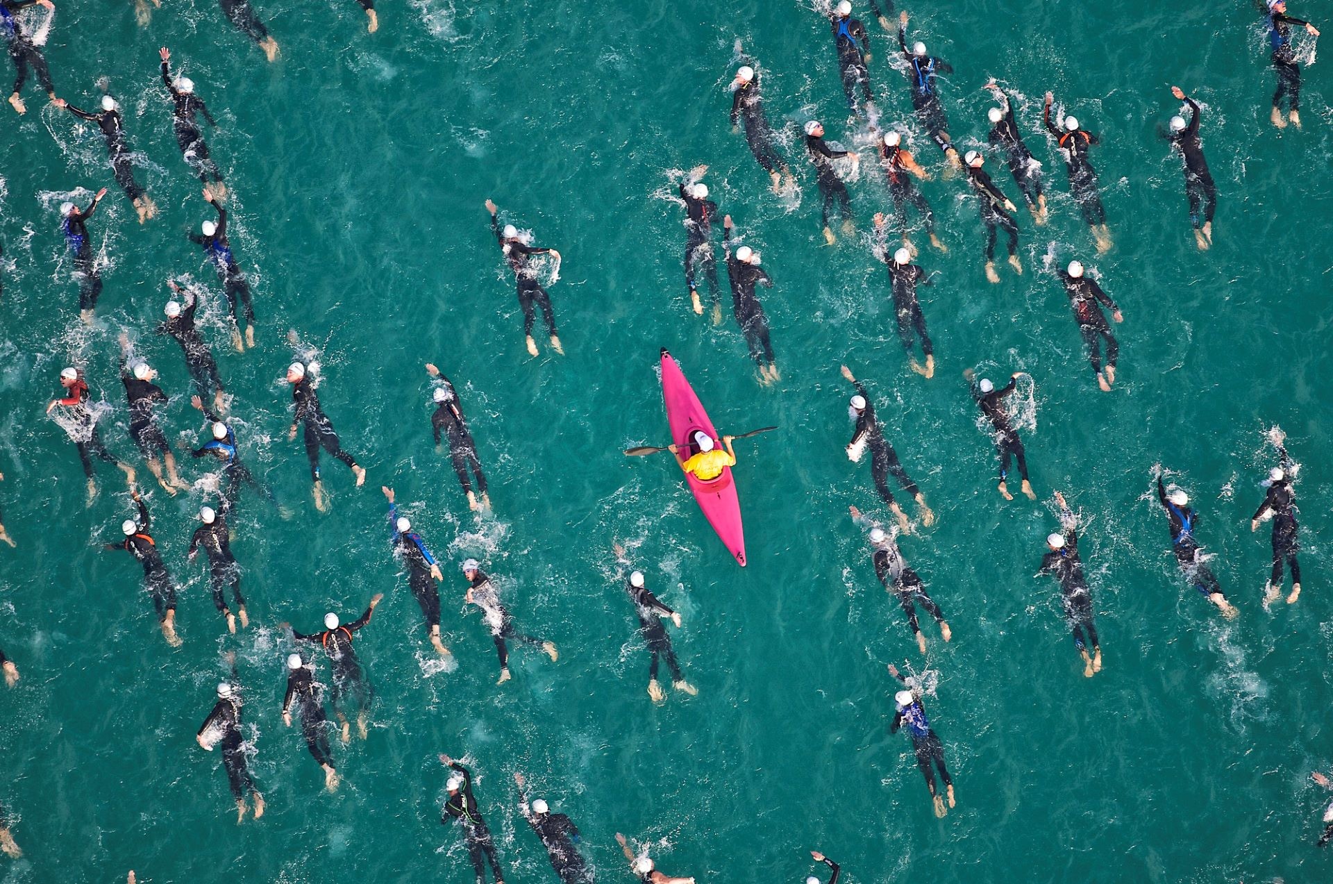 swimmers