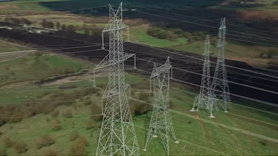 electrical lines and trees