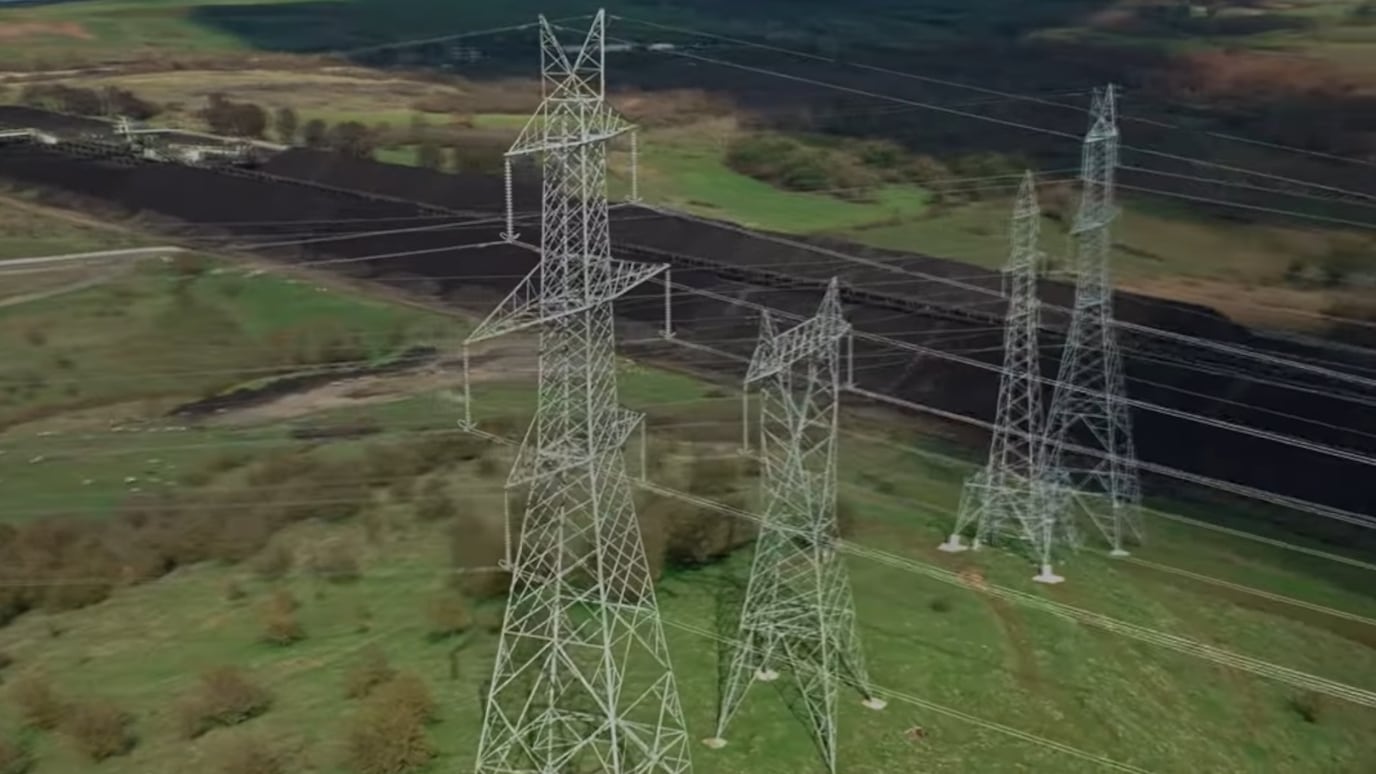 electrical lines and trees