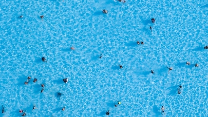 banner image