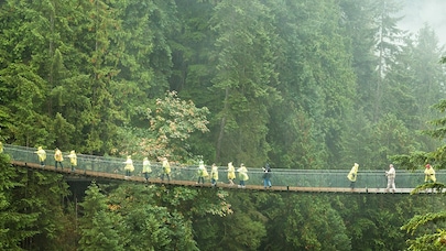 oi bridge