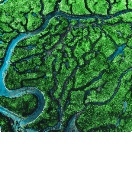 Biodiversity