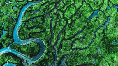 Overhead view of blue river snaking through green patchwork fields