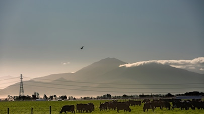 Transpower, New Zealand: Providing modern grid communications for New Zealand’s National Electricity Grid