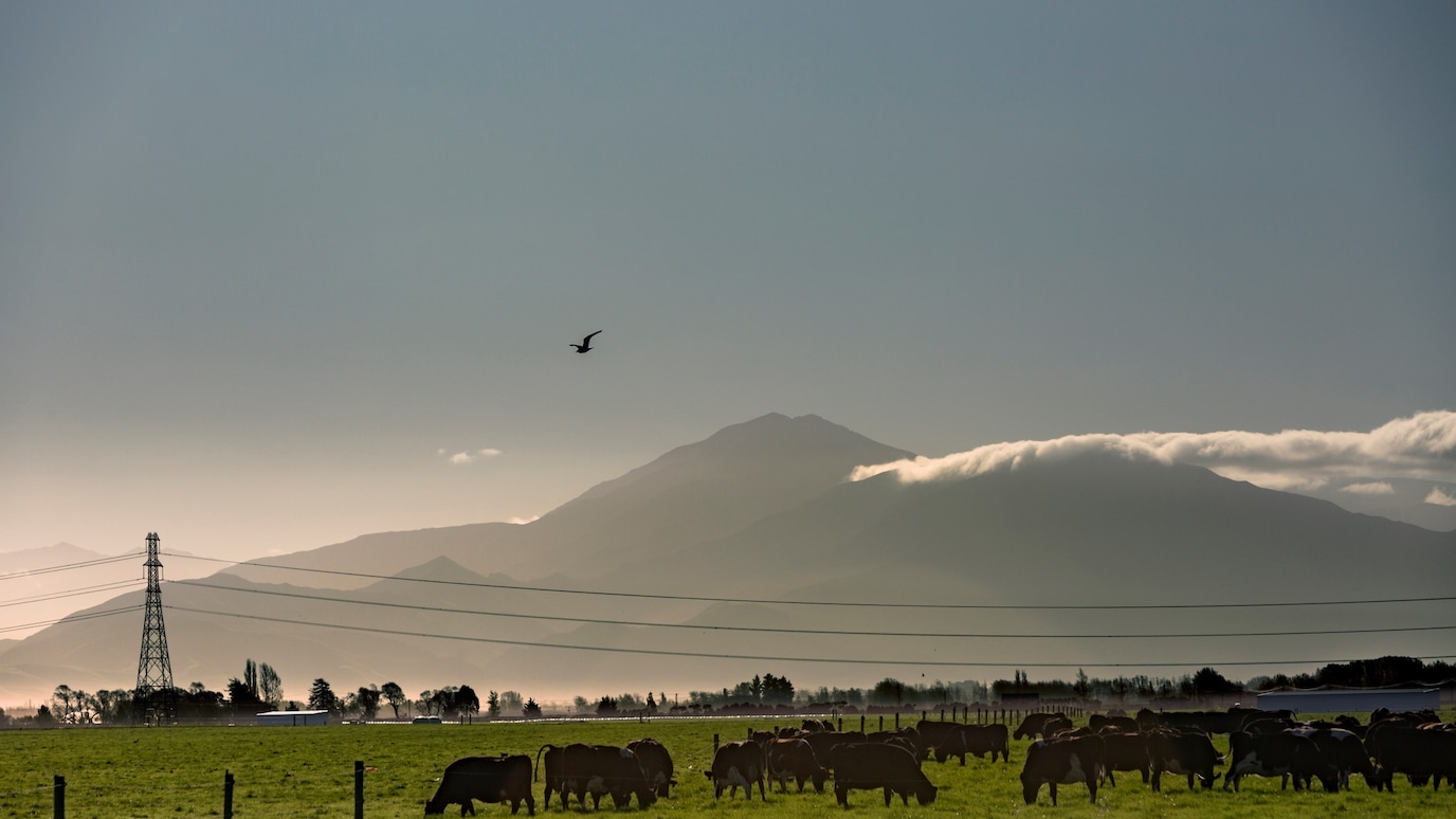 Transpower, New Zealand: Providing modern grid communications for New Zealand’s National Electricity Grid