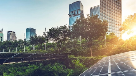 Solar panels in green area with high-rise buildings in the background