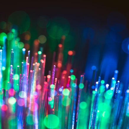 Fiber