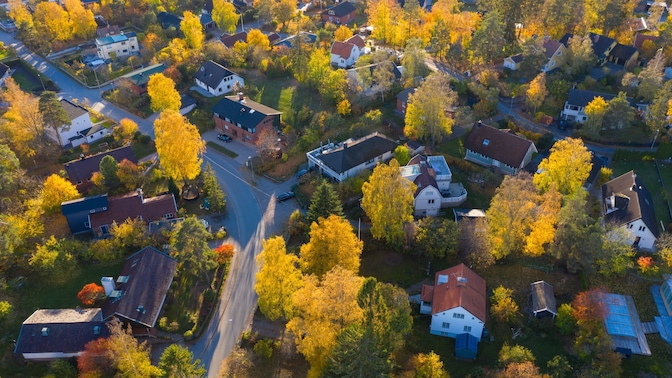 City with Tree