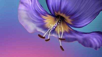 Close-up of flower petals and stamens