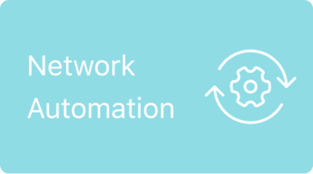 Network Automation