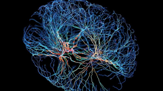 Networks for AI, with AI