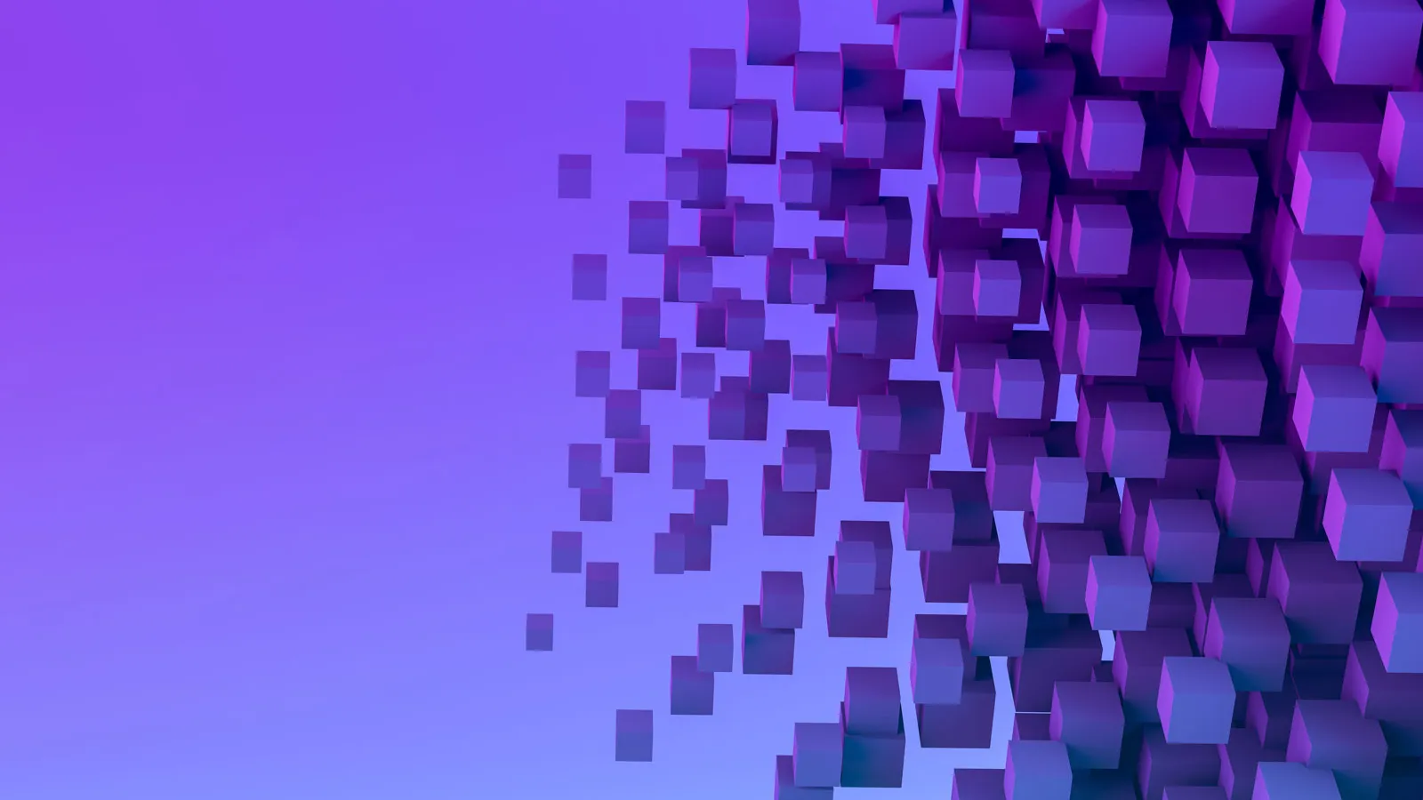 Purple blocks