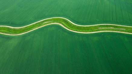 A green field with a track running through the center