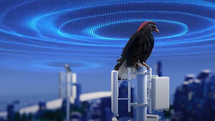 Three-year transformation of Mobile Networks