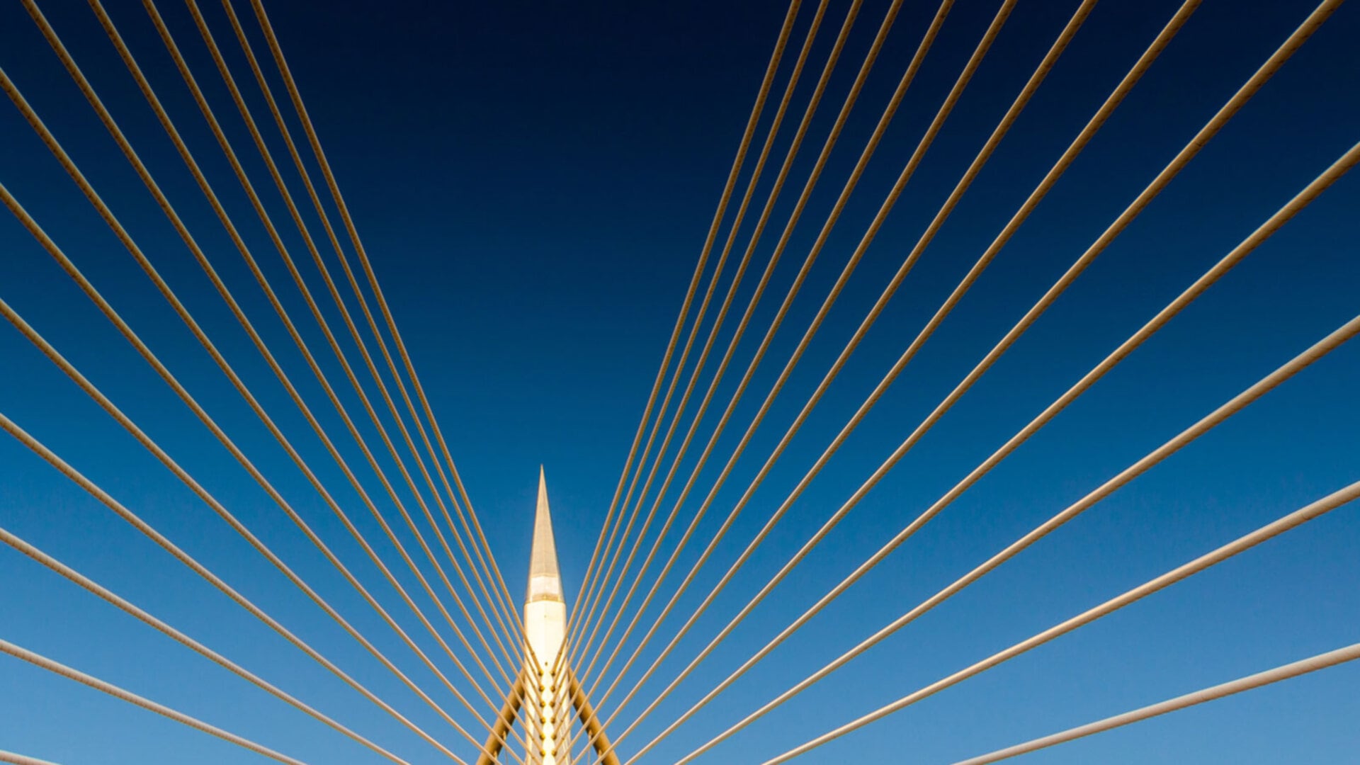 Seri Wawasan Bridge
