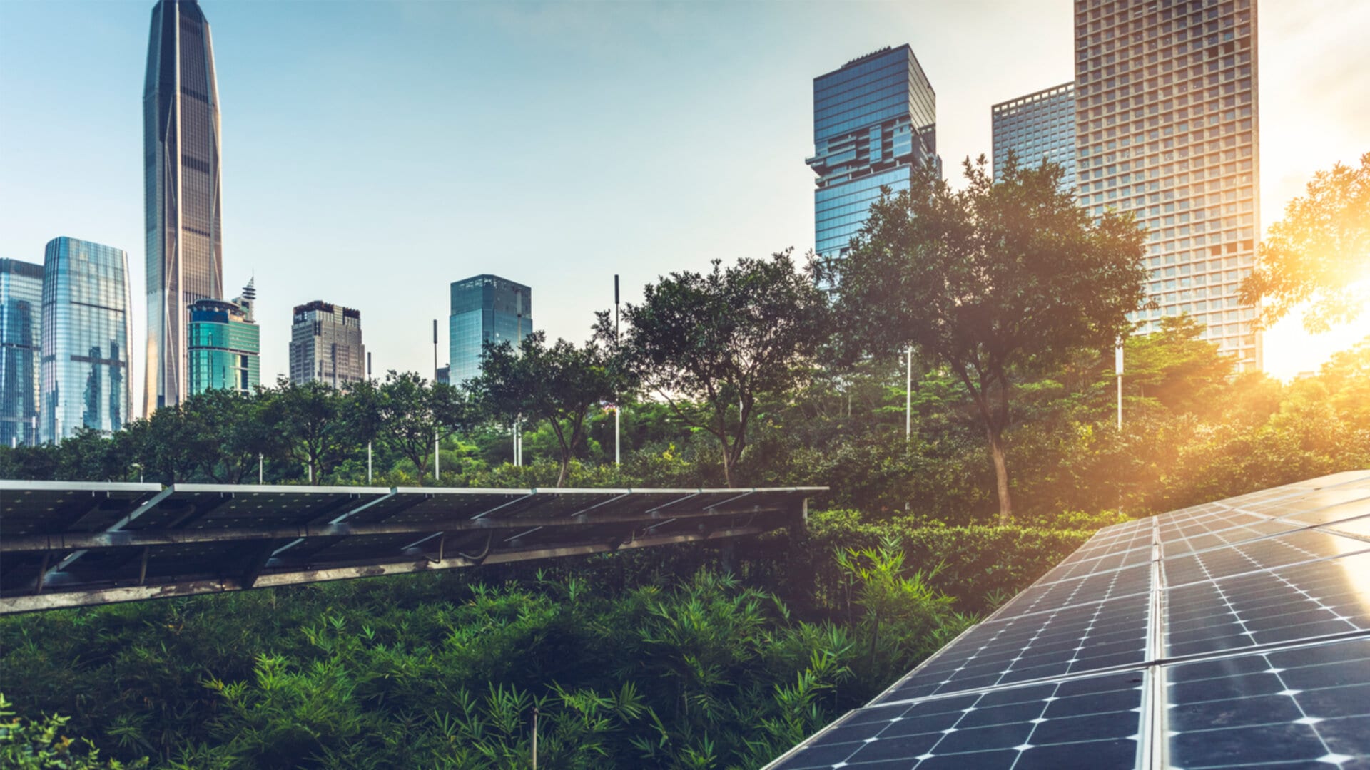 A cityscape with tall buildings and lush greenery. In the foreground, a solar panel array is capturing energy from the sun.