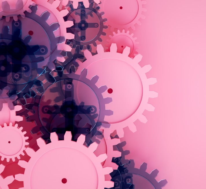 pink cogs