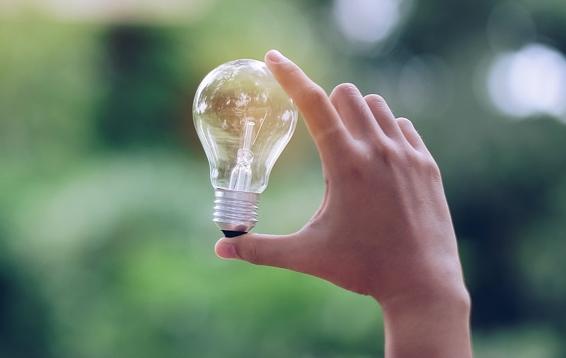 bulb