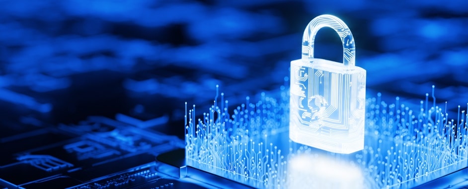 Lock guarding network system