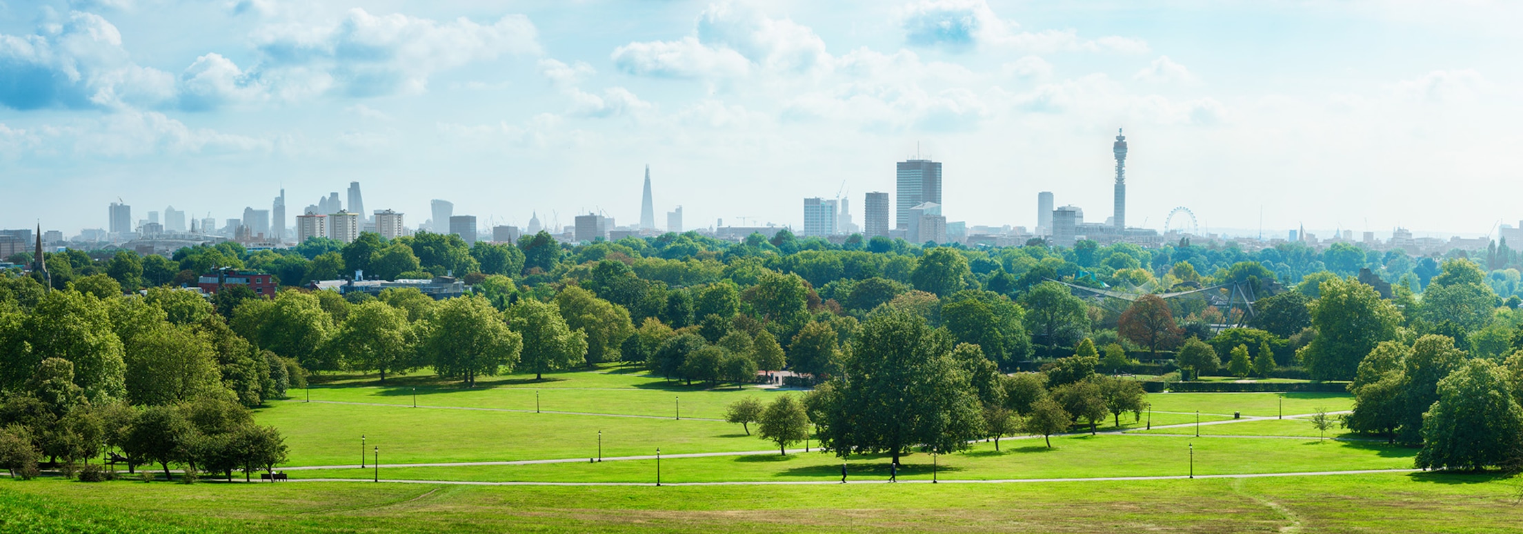city and trees